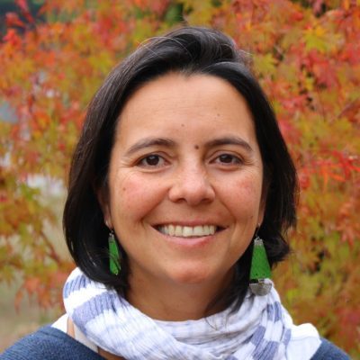 Viviana Letelier González