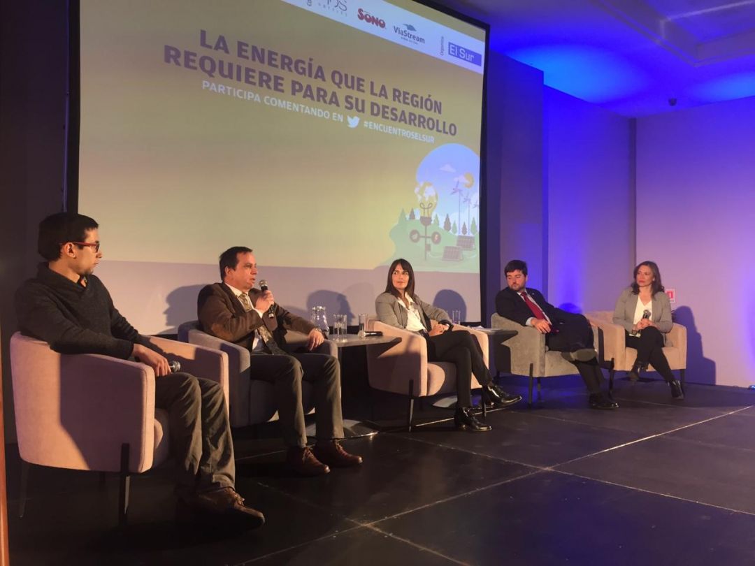 Decano participó en último encuentro "El Sur del Futuro" sobre energía